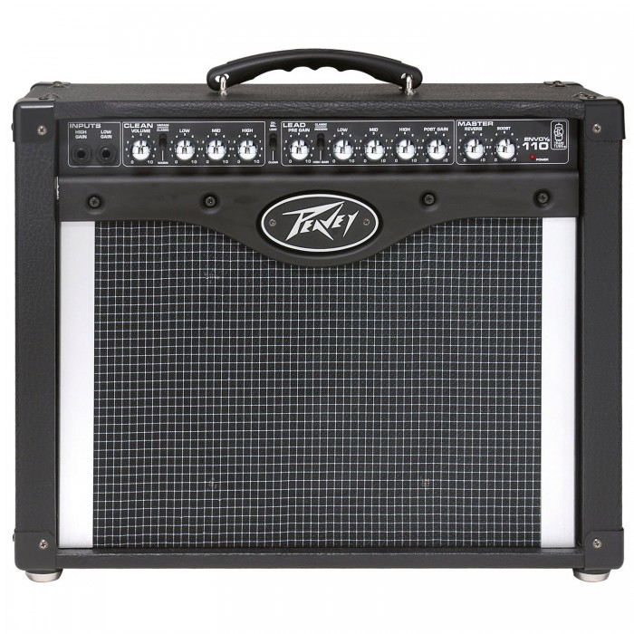 Фото Peavey Envoy 110