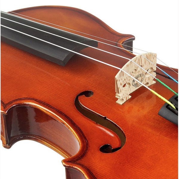 Фото Karl Hofner AS-190-V 1/4-0