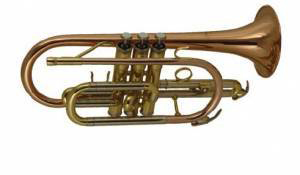 Фото Корнет WISEMANN DCT-500