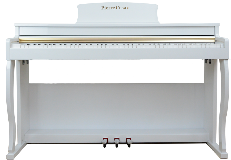 Фото Цифровое фортепиано Pierre Cesar XY-8803-H-WH