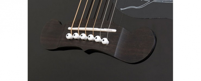 Фото EPIPHONE Dave Navarro Jane Ebony