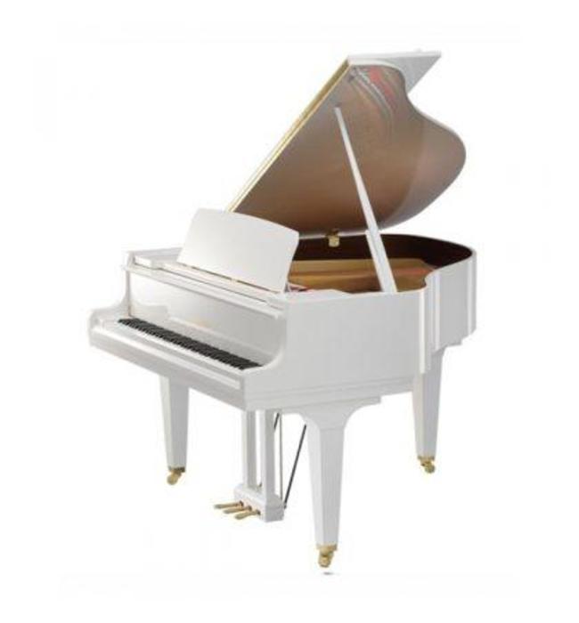 Фото Becker CBGP-168PW