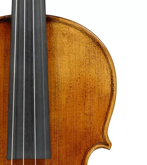 Фото Скрипка Tononi VN820 4/4