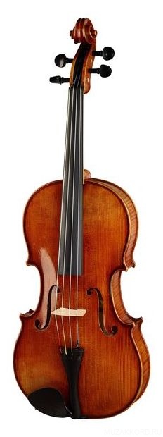 Фото Karl Hofner AS-060-VA 15