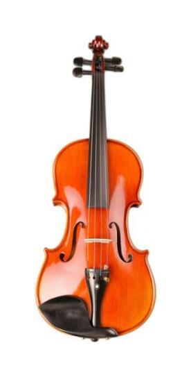 Фото Скрипка Livingstone L-V9 4/4