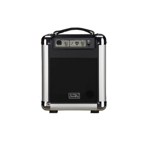 Фото Активная акустическая система Soundking PA6B