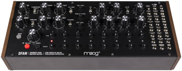 Фото Moog DFAM
