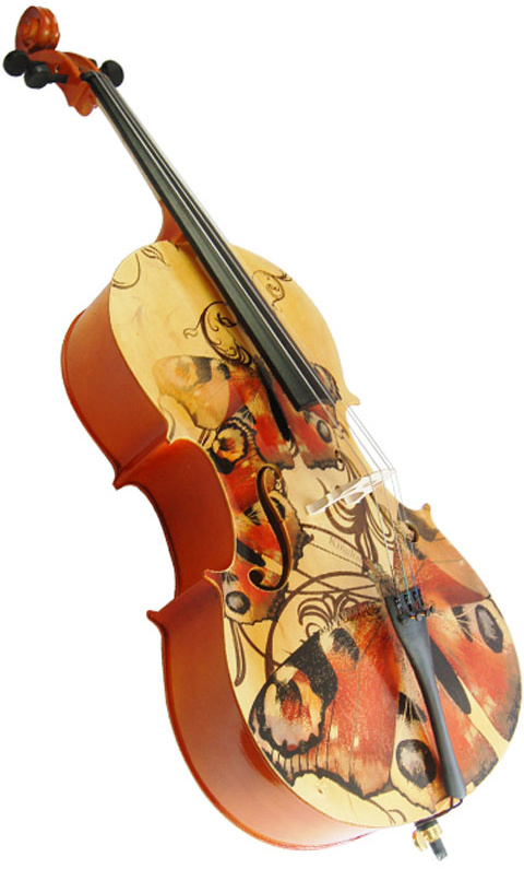 Фото Виолончель KINGLOS HSDT-007 4/4 комплект