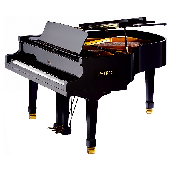 Фото  Petrof P 173 Breeze DCH (2251)