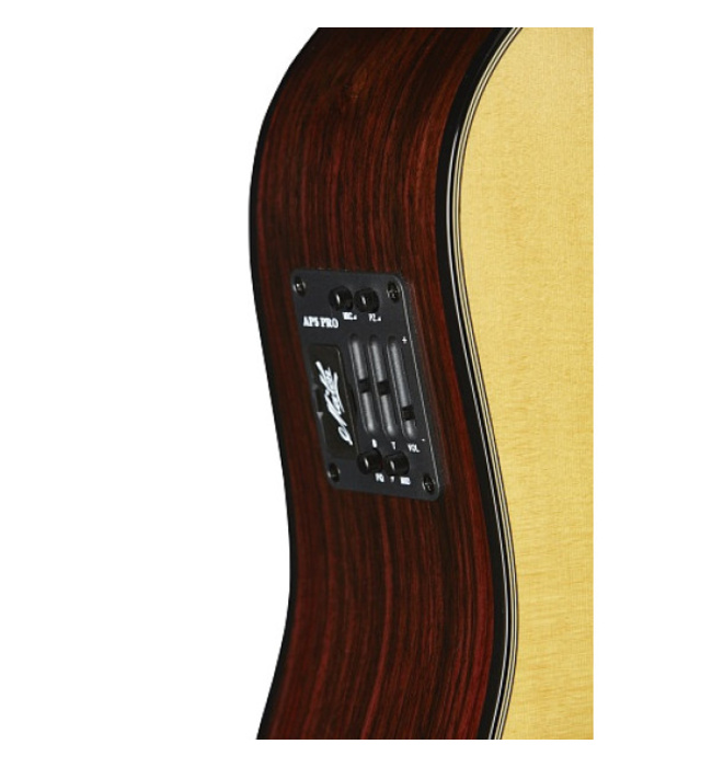 Фото Maton TE1