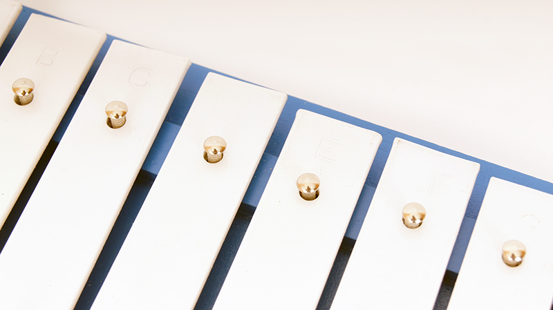 Фото Металлофон Fleet FLT-TL13