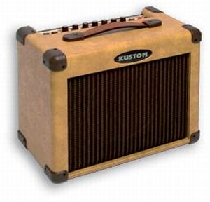 Фото KUSTOM SIENNA16