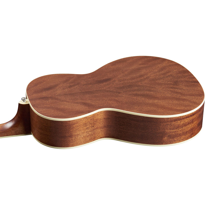 Фото Framus FP 14 M NS