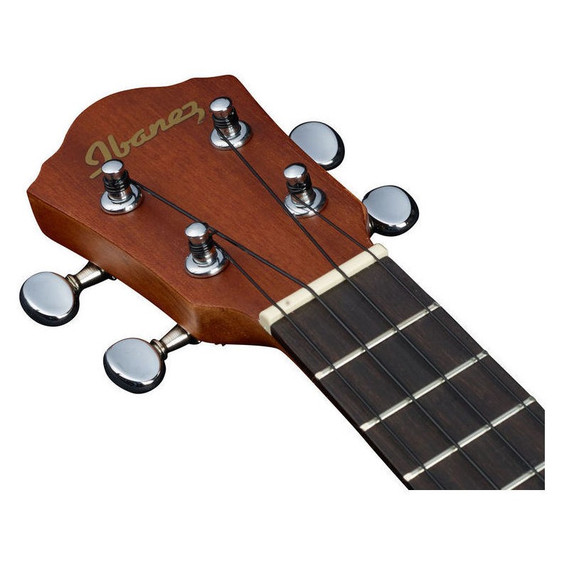 Фото IBANEZ UKS10