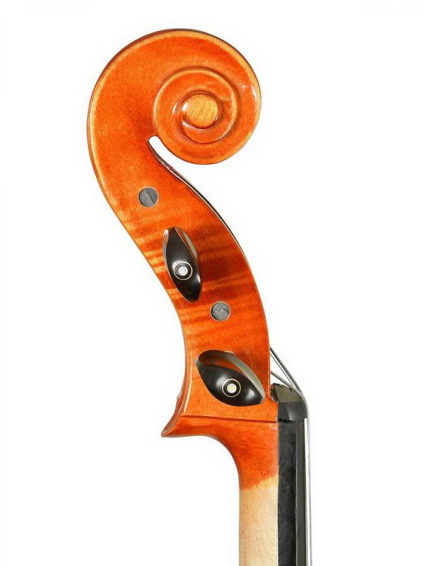 Фото ANDREW FUCHS CL-200L размер 1/2