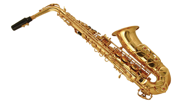 Саксофон альт WISEMANN DAS-500 в магазине Music-Hummer