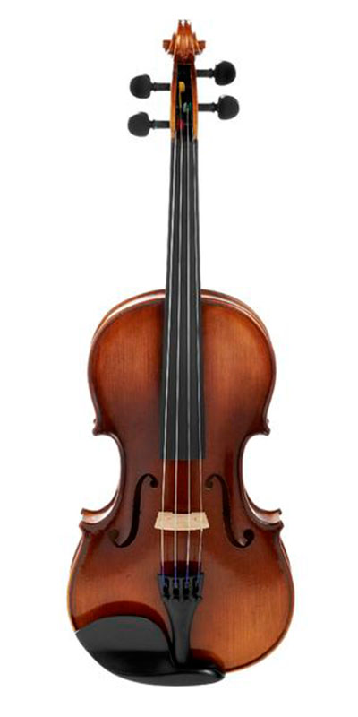 Фото Karl Hofner H8-V 1/2