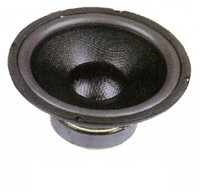 Фото Apextone AP-RS01-10 динамик