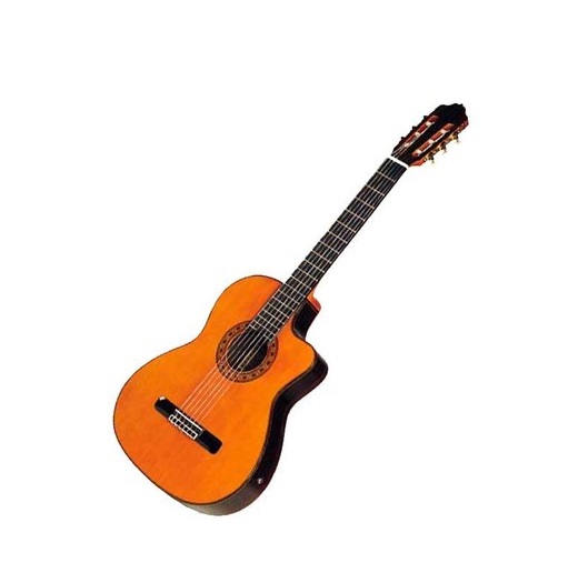 Фото Esteve ELEC CD