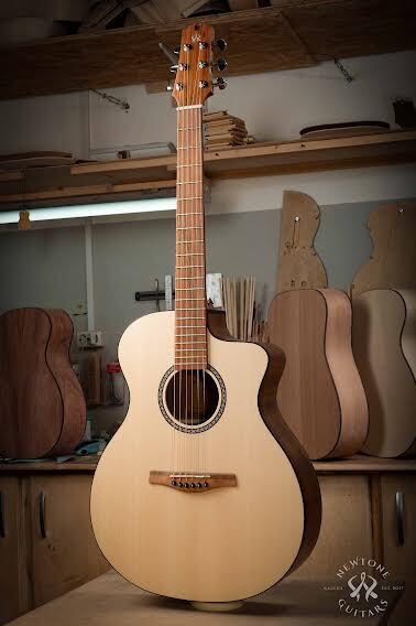 Фото Акустическая гитара NewTone TORNADO GA N C кейс в комплекте