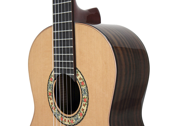 Фото Классическая гитара  Dowina Rioja C