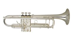 Фото Труба WISEMANN DTR-780SG