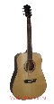 Акустические гитара Chateau WD1
