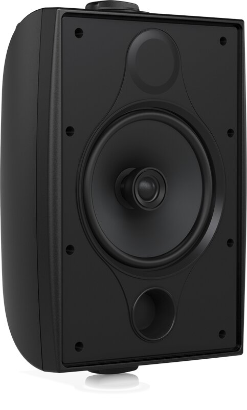 Фото Tannoy DVS 6  