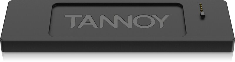 Фото Портативная акустическая система Tannoy LIVE MINI  