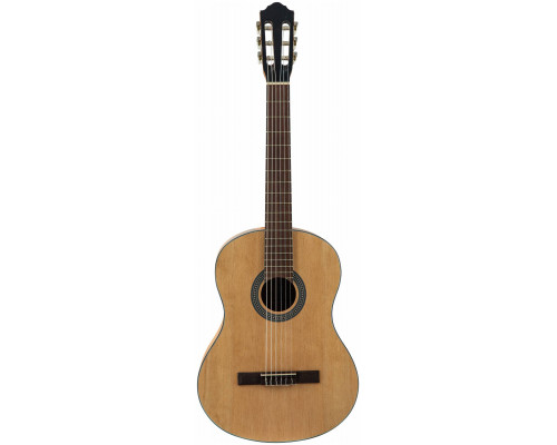 Фото Классическая гитара FLIGHT C-100 NA