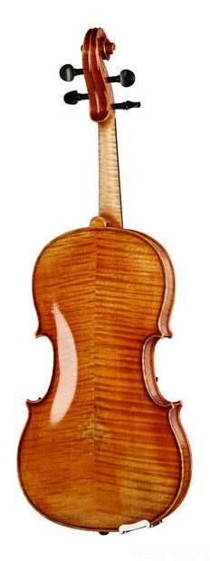 Фото Karl Hofner AS-060-VA 15