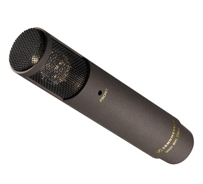 Фото Sennheiser MKH 800 Twin