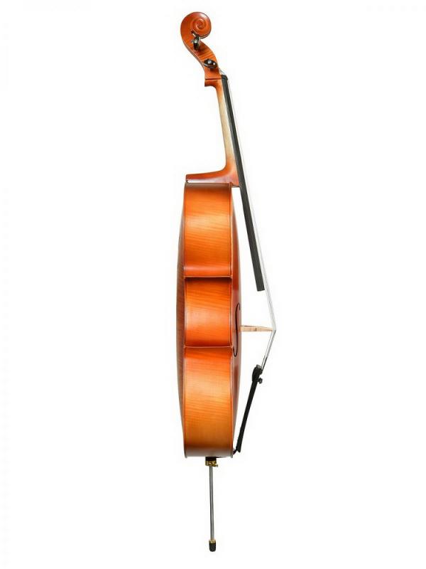 Фото ANDREW FUCHS CL-200M размер 1/2