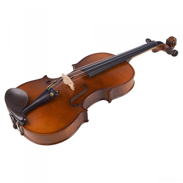 Фото Karl Hofner H8-V 1/2