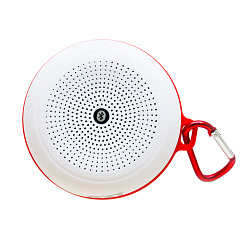 Портативная колонка GAL PA-56BT wt