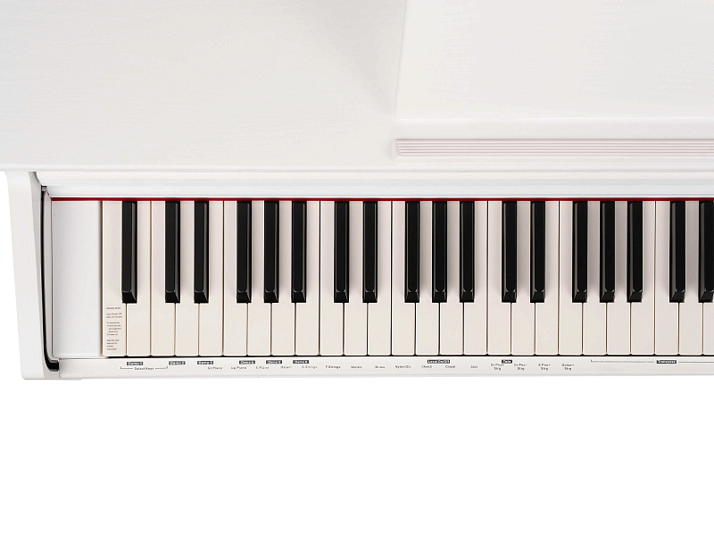 Фото Цифровое пианино OrlaCDP-1-SATIN-WHITE
