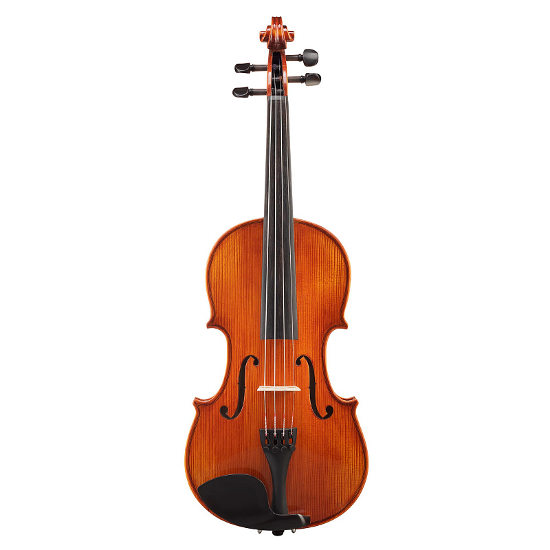 Фото Goronok Каприс 4/4 Скрипка