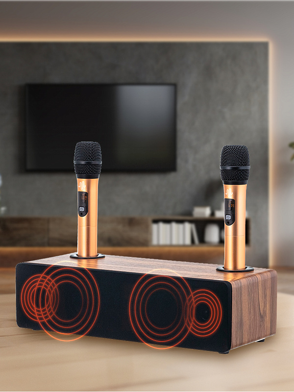 Фото Караоке система с встроенной акустикой MH Technologies Bar