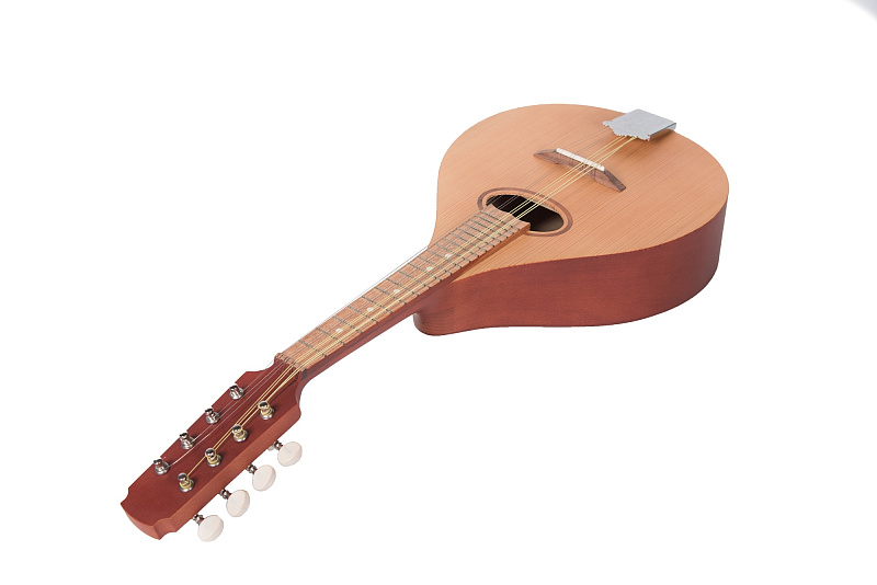 Фото P8MH Мандолина португальская, Doff