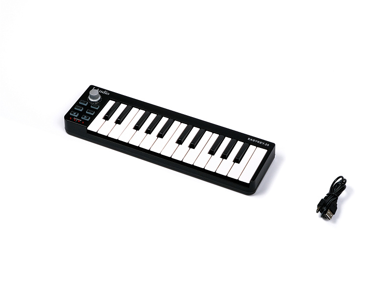 Фото  LAudio EasyKey