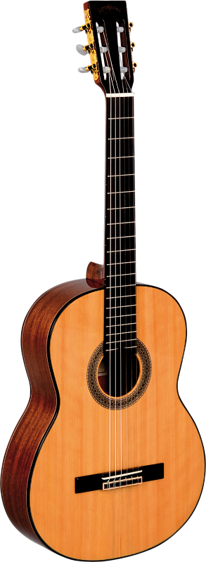 Фото Гитара Sigma CM-6