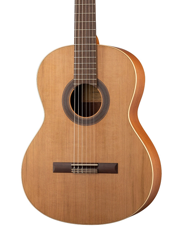 Фото Классическая гитара Prodipe JMFSTUDENT4/4 Student