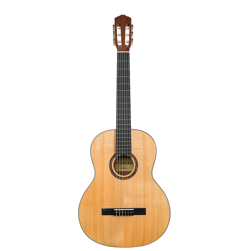 Фото Классическая гитара ROCKDALE Classic C10