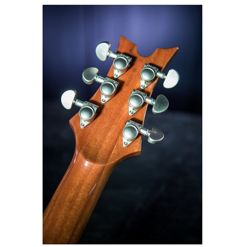 Фото Dean USA Hardtail SPM Exotic Spalte