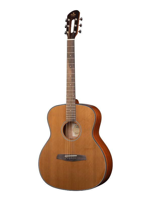 Фото Акустическая гитара Prodipe JMFSGA200 Kopo Series SGA200 