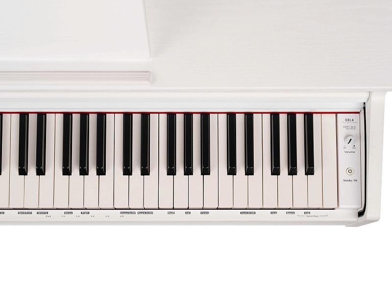 Фото Цифровое пианино OrlaCDP-1-SATIN-WHITE