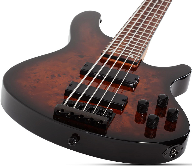 Фото Бас гитара Schecter C-5 STANDARD TB