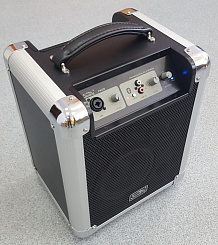 Активная акустическая система Soundking PA6B