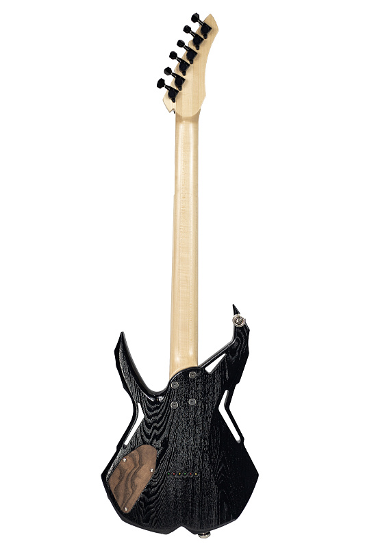 Фото Электрогитара RUSICH GUITARS Spider (black) Titanium edition 27 ладов
