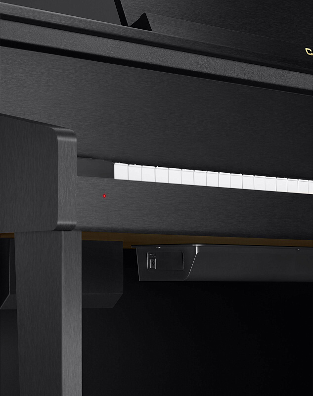 Фото Casio Celviano GP-310BK